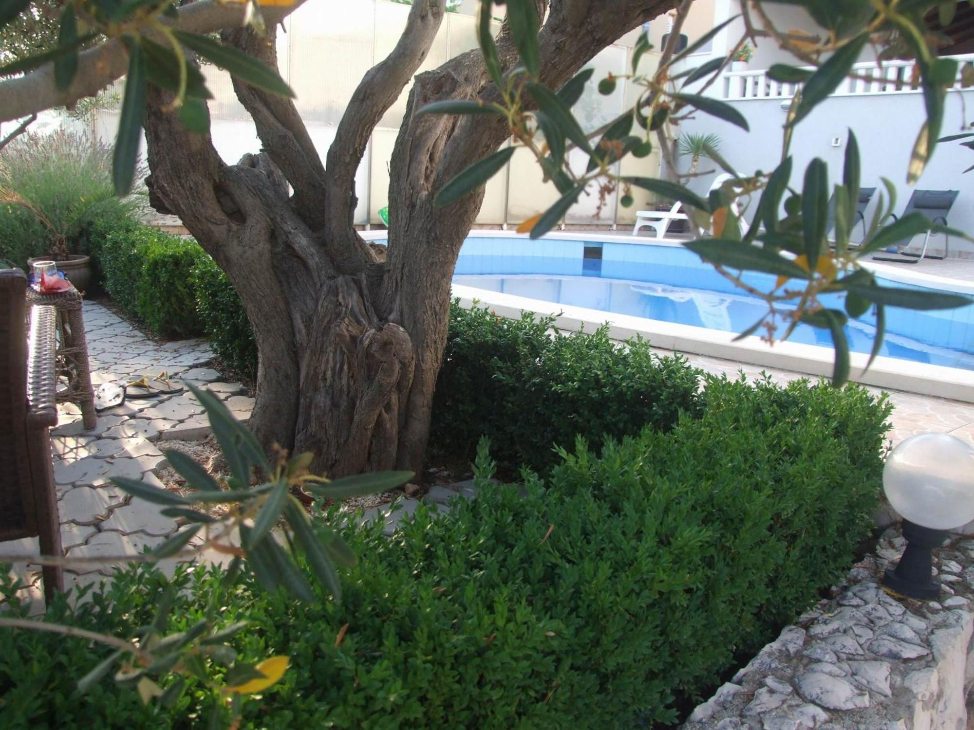 Villa Mandina 세비드 외부 사진